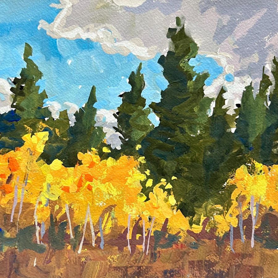 Forest Aspens Forest Aspens